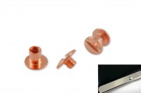 Bookscrews copper plated product no.: 350 K