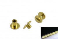 Bookscrews brass plated product no.: 350