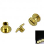 Bookscrews brass plated product no.: 350